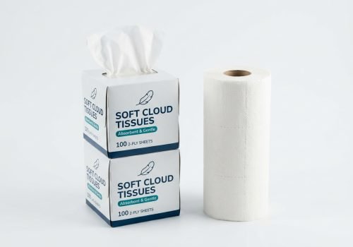 Tissue_boxes_and_paper_roll_20260918101850